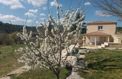 studio and large, beautiful pool - Foto 2