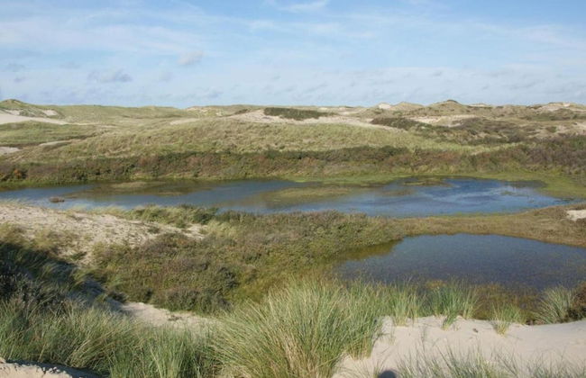 Holiday Home in Schoorl Near Sandy Beaches - Foto 31