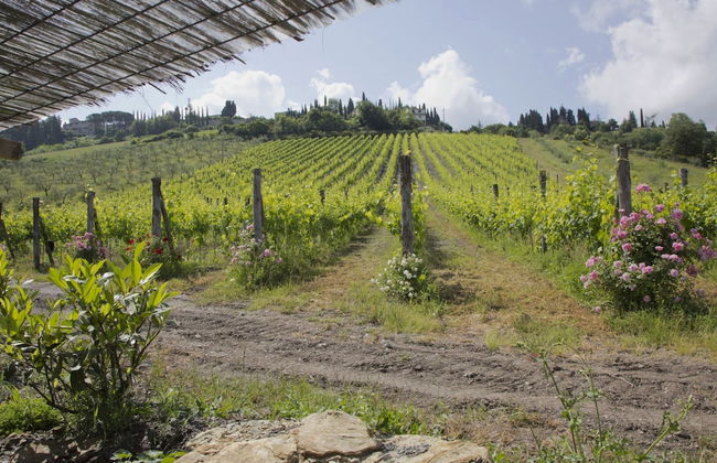 Chianti Hillside Farmhouse - Foto 40