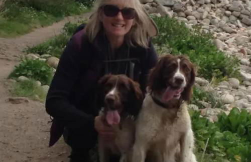 Coach House Studio, quiet, rural, pet friendly, Probus - Foto 22