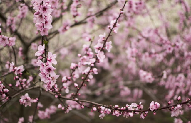 Freshwater Creek Cottages and Farm Stay - Foto 72