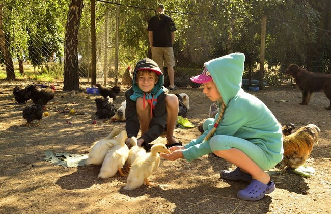 Diamond Forest Farm Stay - Foto 21