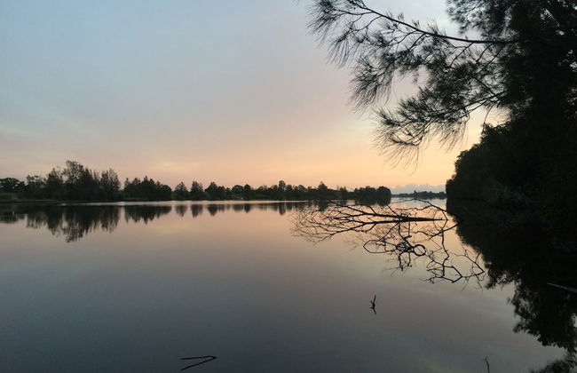 Mansfield on the Manning - Photo 40