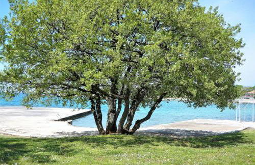 Apartment Appartement Irè 4 Persone by Interhome - Foto 26