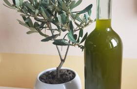 Domus in Horto - Foto 18