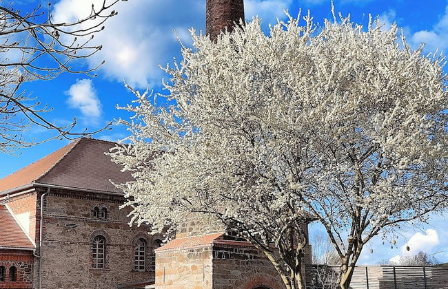 HexenburgbeiDresden Stylishes Designerappartement mit Schlafsofa, Terrasse - Nähe Sächsische Schweiz - Foto 19