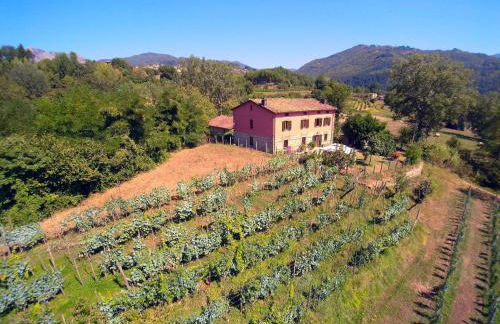 Tuscan Farmhouse in Castiglione di Garfagnana with Garden - Foto 57