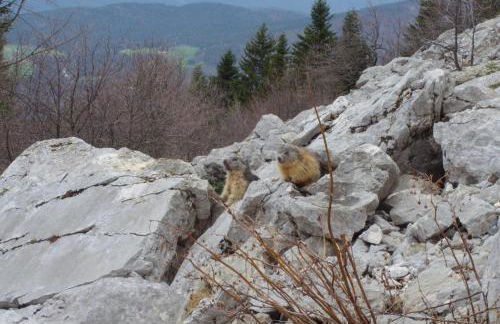 Gite des Rosiers - Foto 30