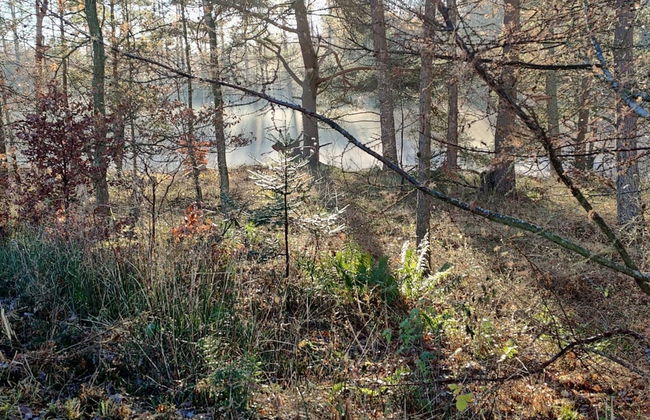 Luxury Spa Retreat in Thorsager - By Traum Ferienwohnungen - Photo 12