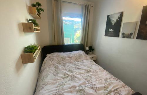 Apartino - Foto 56