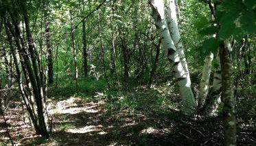 Magical Off-Grid Cottage Rental for Weekend Getaways in Upstate NY - Foto 5