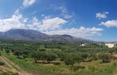 Katy's Luxury Apartments - Photo 39