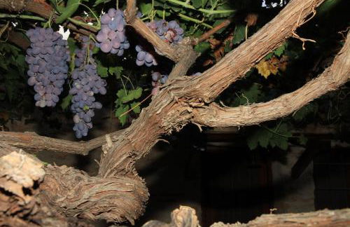 Alojamientos Rurales Cortijo Las Golondrinas - Foto 23