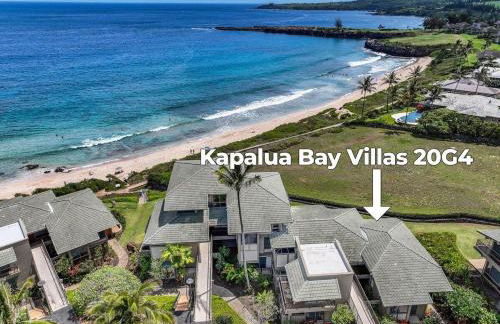 Kapalua Bay Villas 20G4 · KBV 20G4 Updated OceanFront for Whale - Foto 41