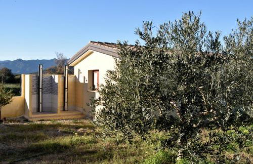 Armandiola - Foto 32