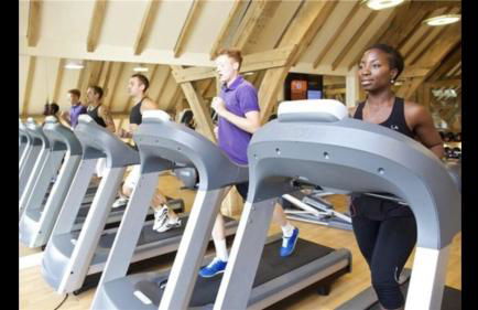 Bumblebee Lodge - Foto 20