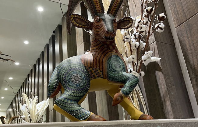 Zen Suites by Regente - Photo 10