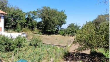 Luna D'Agerola - Foto 5