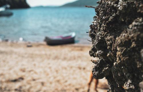 Lodge at Loch Lomond - Foto 55