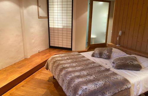 appartement 103m2 près de Megève, face à télécabine la Princesse,2 chambres , garage, local à ski - Foto 15