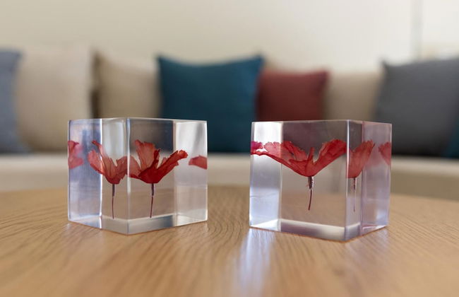 Epavlis in Penteli - Foto 38