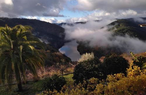 Casa Loureira - Ribeira Sacra - Foto 26