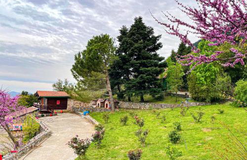 Aselinos Forest Estate - Foto 45