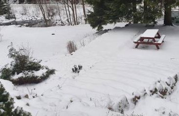 Apartamenty u Sikory - Foto 47