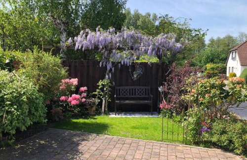 Heimatliebe Fewo bei Stralsund - Foto 20