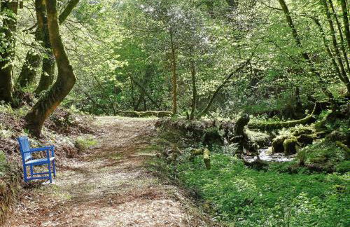 Blaenfforest Granary Newcastle Emlyn - Photo 20