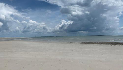 Flowmove Algodoal - Photo 2