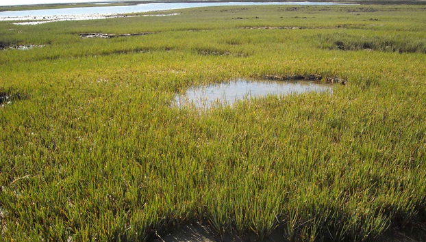 Paisajes de la zona costera de El Sótano