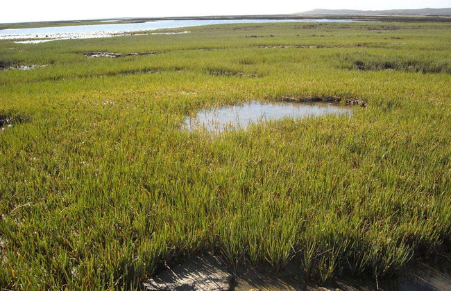 Excursión al Cañadón de las Ostras y El Sótano - Foto 4