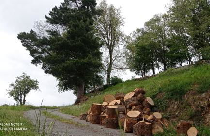 Casa el rey 12 - Apartamentos Buenos Aires y Figueras AR-1419-AS - Foto 33