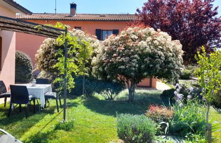 Montepulciano - La Casetta del Pian delle Noci - Foto 6