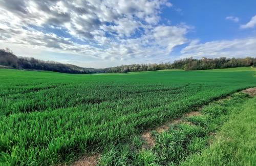 Villetta rosso Rubino - Foto 68