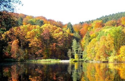 Ferienwohnung Fasse - Foto 28