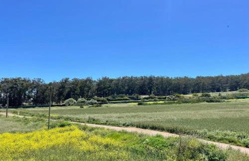 La Macadamia - Foto 13