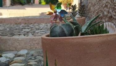 Appartamento La Scaletta - Foto 4