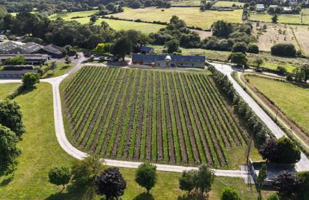 Luxueuse Longère 350m2 "Le Grand Kerfra" au Vignoble Domaine Lamballe, Baden, Golfe du Morbihan - Photo 37