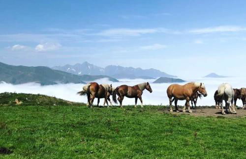 Le Cosy Liberty - Foto 12