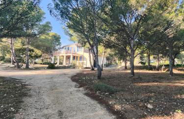 Mas de Caussagues, la Presqu'ile - Foto 39