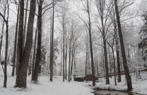 Cascina Rococo at White Lotus Eco Spa Retreat - Foto 19