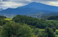 Maison sur la colline du Barroux - Foto 62