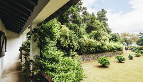 Casa da Cascata - Foto 4