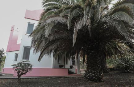 Casa Cor de Rosa - Photo 32