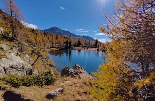 Gite l'Esquirol - Foto 17