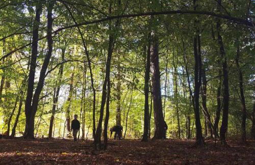 Lawendowa Malanówka - domek nad jeziorem - Foto 30