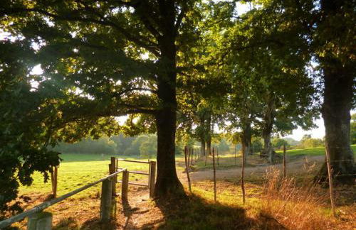 Gîte calme et spacieux pour amoureux de la nature - Photo 12