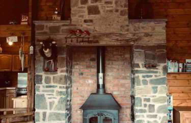 George Cabin - Log Cabin in Wales with Hot tub - Foto 14